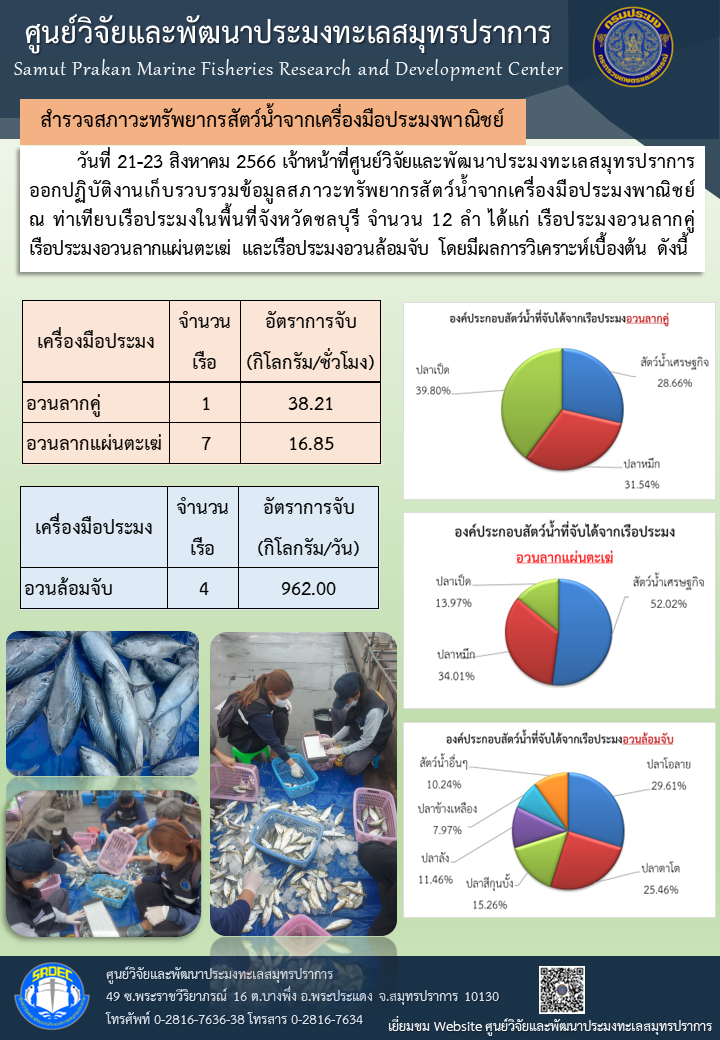 วันที่ 21-23 สิงหาคม 2566 เจ้าหน้าที่ศูนย์วิจัยและพัฒนาประมงทะเลสมุทรปราการ ออกปฏิบัติงานเก็บรวบรวมข้อมูลสภาวะทรัพยากรสัตว์น้ำจากเครื่องมือประมงพาณิชย์ ณ ท่าเทียบเรือประมงในพื้นที่จังหวัดชลบุรี จำนวน 12 ลำ..คลิก