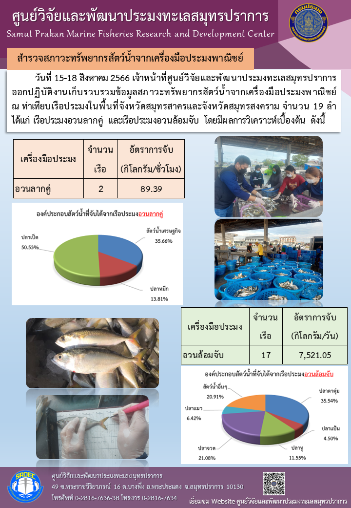 วันที่ 15-18 สิงหาคม 2566 เจ้าหน้าที่ศูนย์วิจัยและพัฒนาประมงทะเลสมุทรปราการ ออกปฏิบัติงานเก็บรวบรวมข้อมูลสภาวะทรัพยากรสัตว์น้ำจากเครื่องมือประมงพาณิชย์ ณ ท่าเทียบเรือประมงในพื้นที่จังหวัดสมุทรสาครและจังหวัดสมุทรสงคราม..คลิก