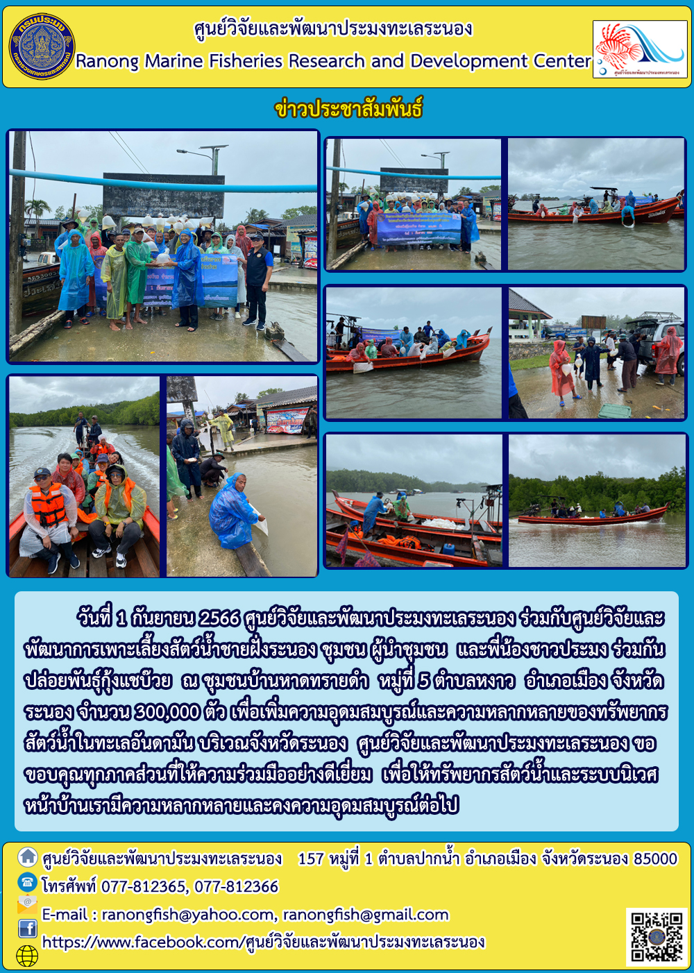 ศูนย์วิจัยและพัฒนาประมงทะเลระนอง ร่วมกับศูนย์วิจัยและพัฒนาการเพาะเลี้ยงสัตว์น้ำชายฝั่งระนอง ชุมชน ผู้นำชุมชน และพี่น้องชาวประมง ร่วมกันปล่อยพันธุ์กุ้งแชบ๊วย ณ ชุมชนบ้านหาดทรายดำ..คลิก