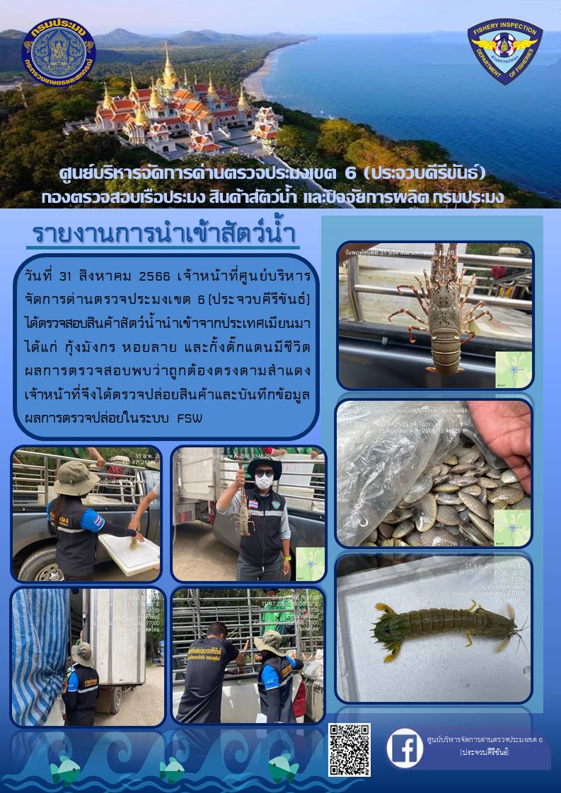 ตรวจสอบสินค้าสัตว์น้ำนำเข้าจากประเทศเมียนมา..คลิก