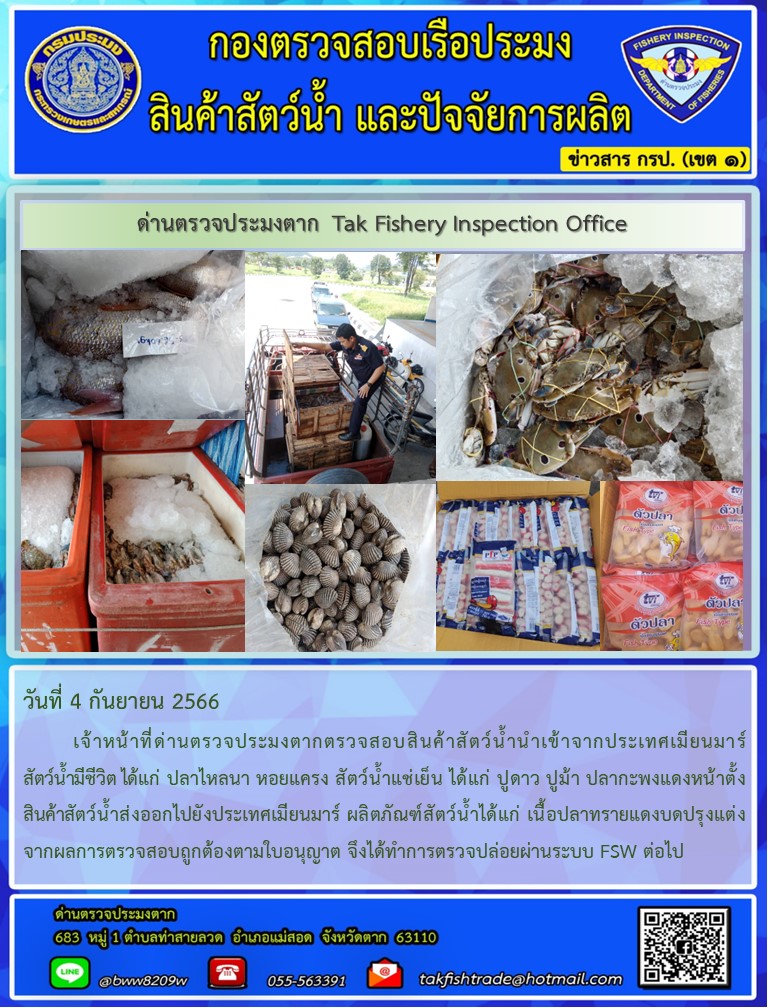 วันที่ 4 กันยายน 2566           เจ้าหน้าที่ด่านตรวจประมงตากตรวจสอบสินค้าสัตว์น้ำนำเข้าจากประเทศเมียนมาร์ สัตว์น้ำมีชีวิต ได้แก่ ปลาไหลนา หอยแครง สัตว์น้ำแช่เย็น ได้แก่ ปูดาว ปูม้า ปลากะพงแดงหน้าตั้งสินค้าสัตว์น้ำส่งออกไปยังประเทศเมียนมาร์ ผลิตภัณฑ์สัตว์น้ำได้แก่ เนื้อปลาทรายแดงบดปรุงแต่ง จากผลการตรวจสอบถูกต้องตามใบอนุญาต จึงได้ทำการตรวจปล่อยผ่านระบบ FSW ต่อไป..คลิก