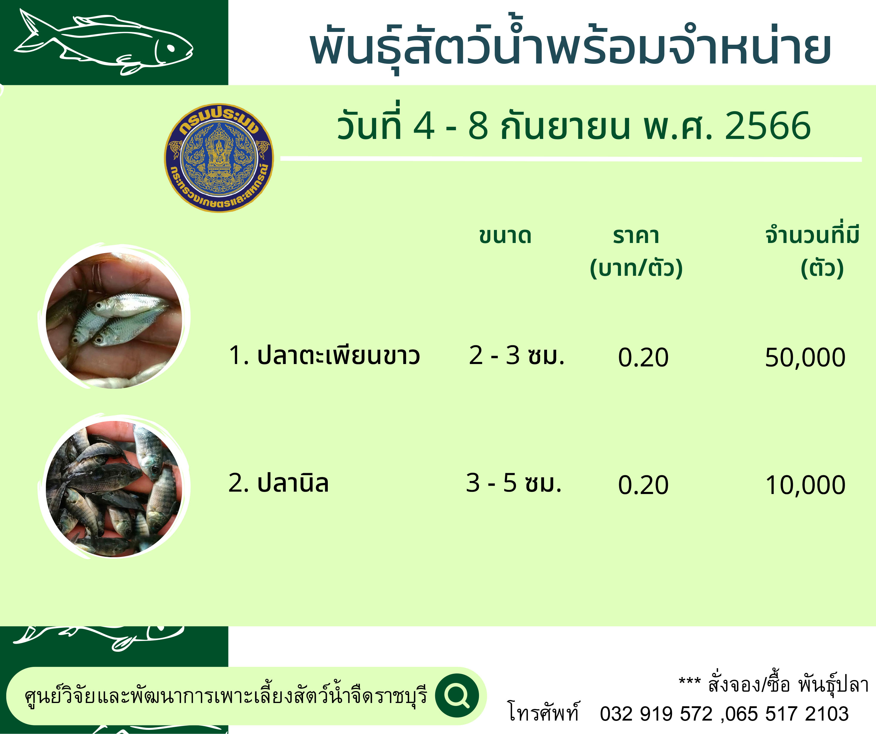 ลูกพันธุ์สัตว์น้ำพร้อมจำหน่าย ประจำวันที่ 4 - 8 กันยายน พ.ศ. 2566..คลิก