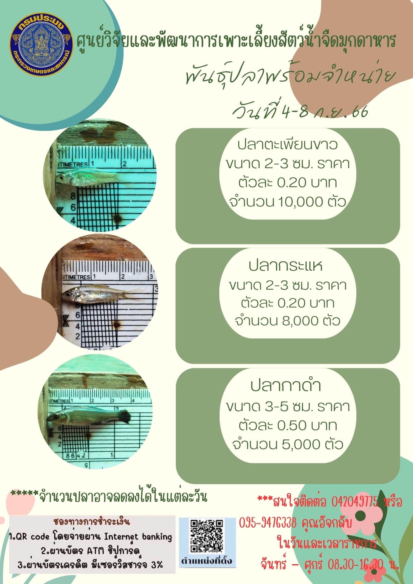 ลูกพันธุ์สัตว์น้ำพร้อมจำหน่าย ประจำวันที่ 4  - 8 ก.ย. 66 ติดต่อสอบถาม 042-049775,095-9476338..คลิก