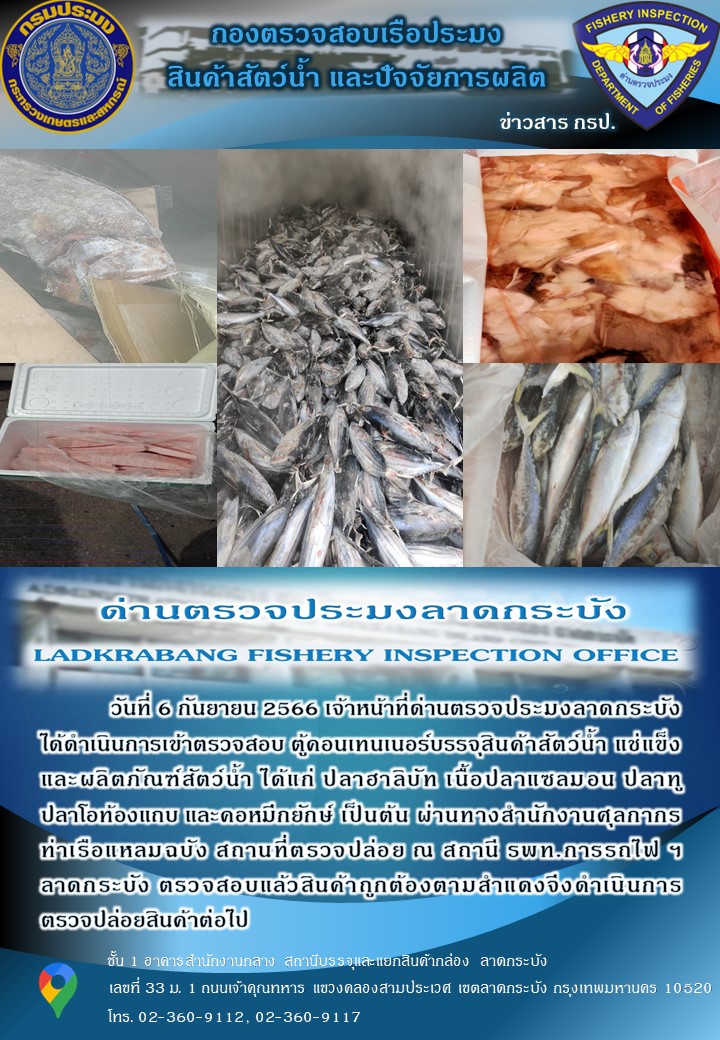 ตรวจสอบสินค้าสัตว์น้ำประจำวันที่ 6 กันยายน 2566..คลิก