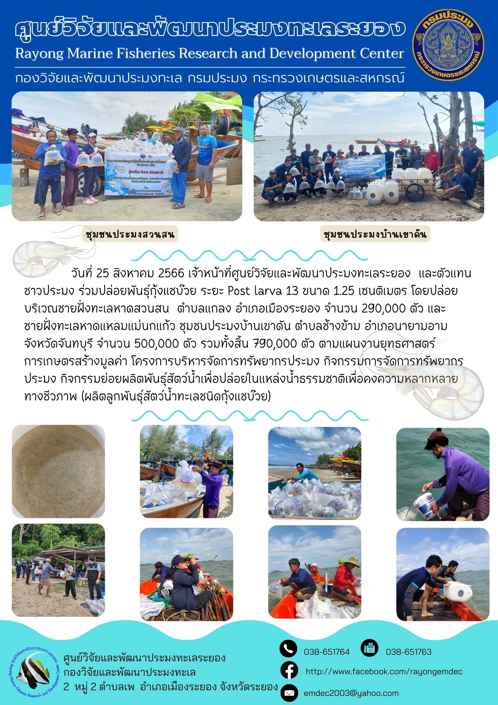 วันที่ 25 สิงหาคม 2566 เจ้าหน้าที่ศูนย์วิจัยและพัฒนาประมงทะเลระยอง และตัวแทนชาวประมง ร่วมปล่อยพันธุ์กุ้งแชบ๊วย ระยะ Post larva 13 ขนาด 1.25 เซนติเมตร โดยปล่อยบริเวณชายฝั่งทะเลหาดสวนสน ตำบลแกลง อำเภอเมืองระยอง จำนวน 290,000 ตัว และจังหวัดจันทบุรี จำนวน 500,000 ตัว รวมทั้งสิ้น 790,000 ตัว ตามแผนงานยุทธศาสตร์การเกษตรสร้างมูลค่า โครงการบริหารจัดการทรัพยากรประมง กิจกรรมการจัดการทรัพยากรประมง กิจกรรมย่อยผลิตพันธุ์สัตว์น้ำเพื่อปล่อยในแหล่งน้ำธรรมชาติเพื่อคงความหลากหลายทางชีวภาพ (ผลิตลูกพันธุ์สัตว์น้ำทะเลชนิดกุ้งบ๊แชวย)..คลิก