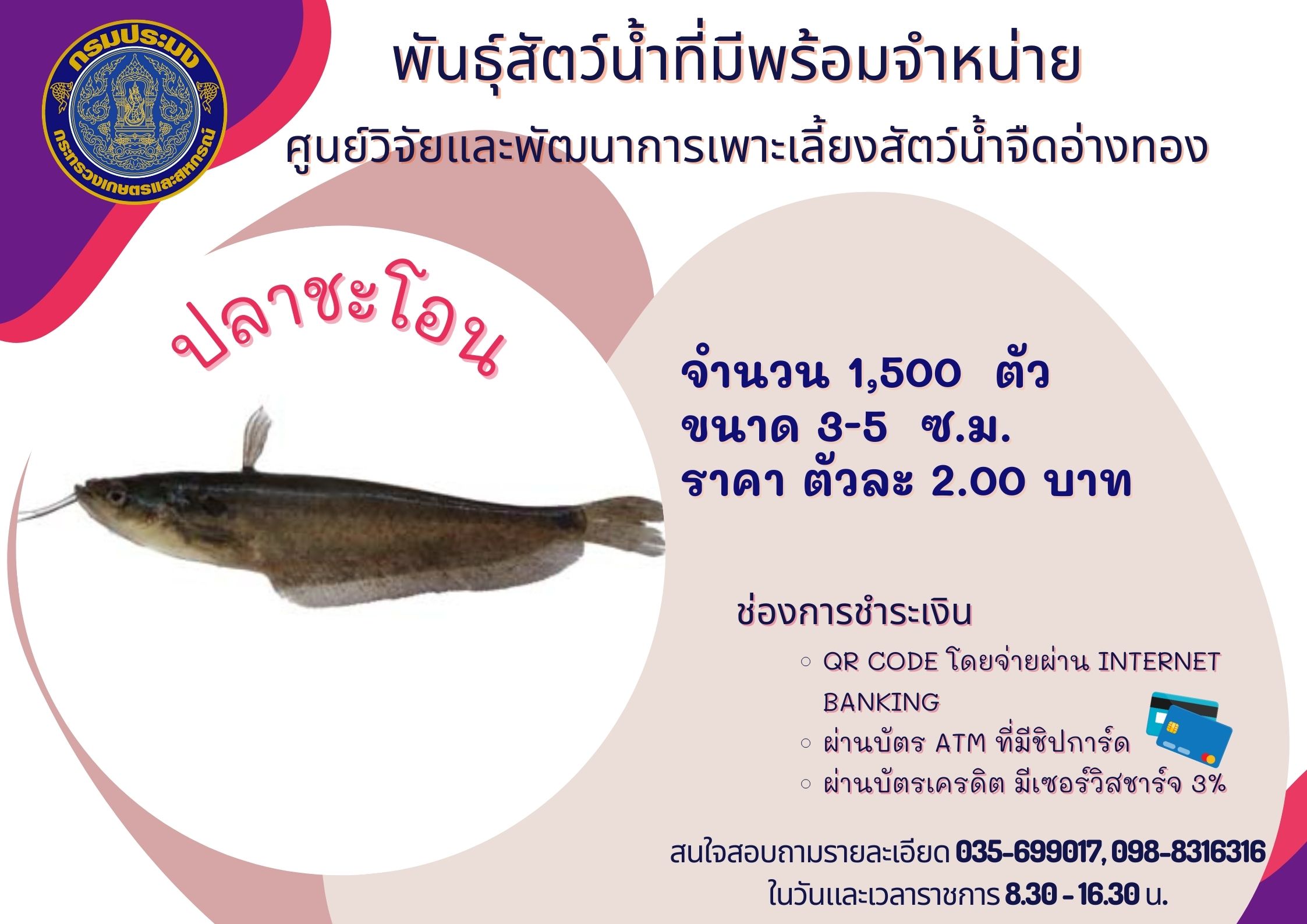 พันธุ์สัตว์น้ำที่มีพร้อมจำหน่าย..คลิก