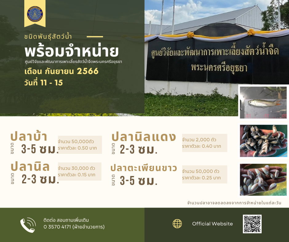 ชนิดพันธุ์สัตว์น้ำพร้อมจำหน่าย (11 - 15 กันยายน 2566) ศพจ.พระนครศรีอยุธยา