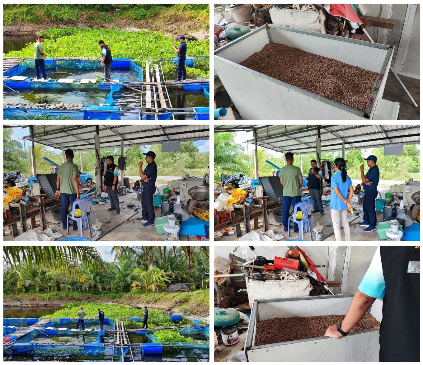 การลงพื้นที่สำรวจข้อมูลและติดตามผลการดำเนินโครงการระบบส่งเสริมเกษตรแบบแปลงใหญ่ กลุ่มผู้เลี้ยงปลาดุก อ.ชะอวด จ.นครศรีธรรมราช..คลิก