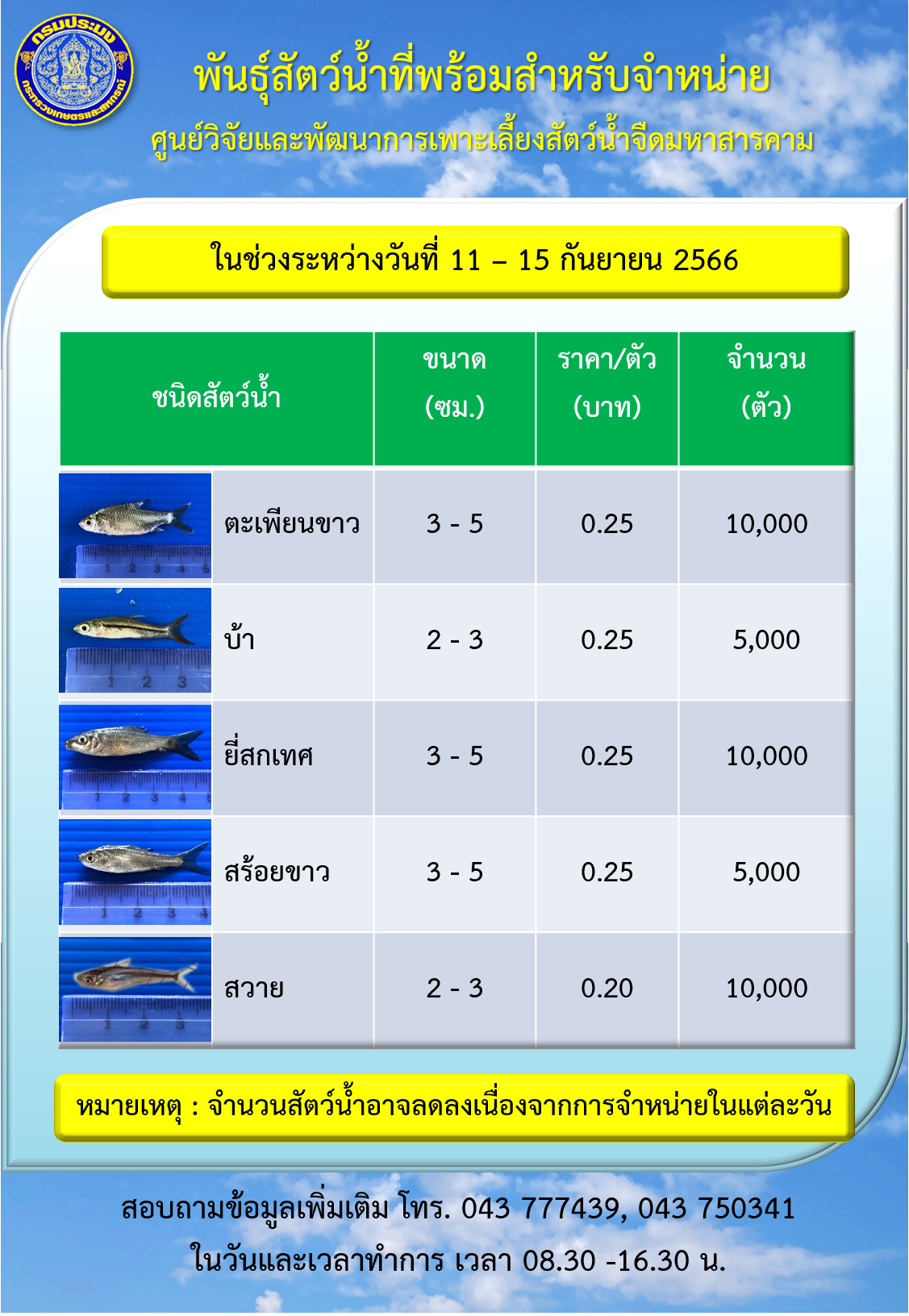 พันธุ์สัตว์น้ำที่พร้อมสำหรับจำหน่าย ระหว่างวันที่ 11 – 15 กันยายน 2566..คลิก