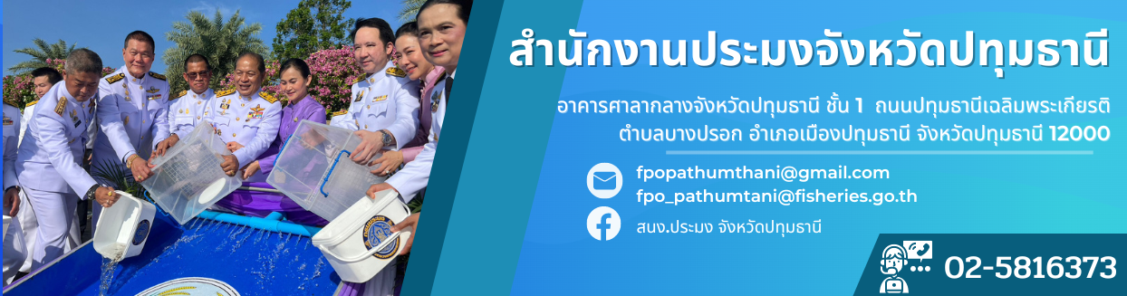 ข้อมูลติดต่อ