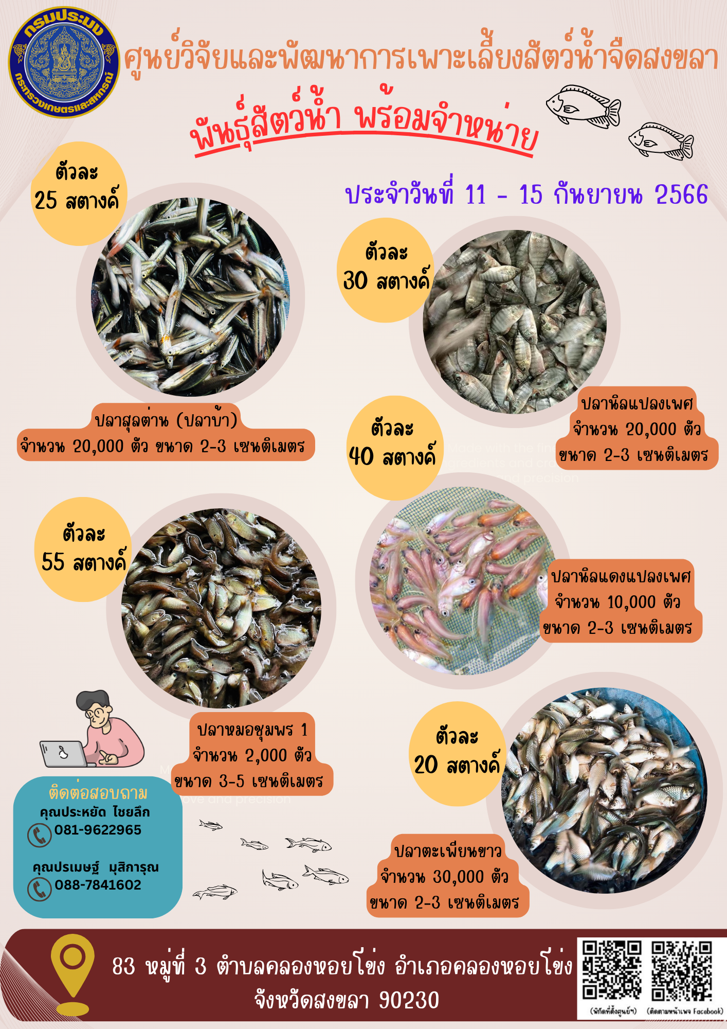 พัันธุ์สัตว์น้ำพร้อมจำหน่าย