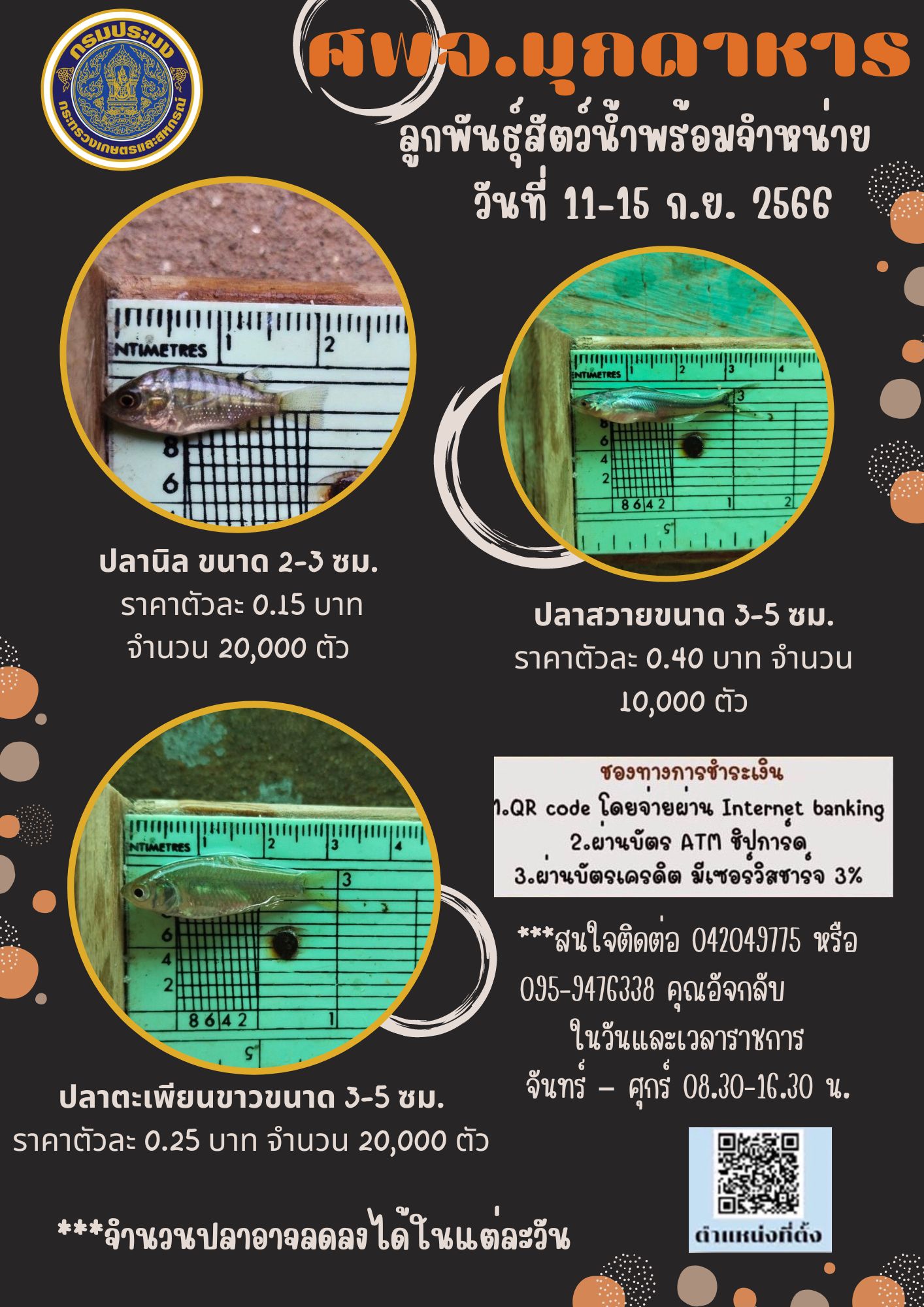 ลูกพันธุ์สัตว์น้ำพร้อมจำหน่าย ระหว่างวันที่ 11 ก.ย.-15 ก.ย. 66..คลิก