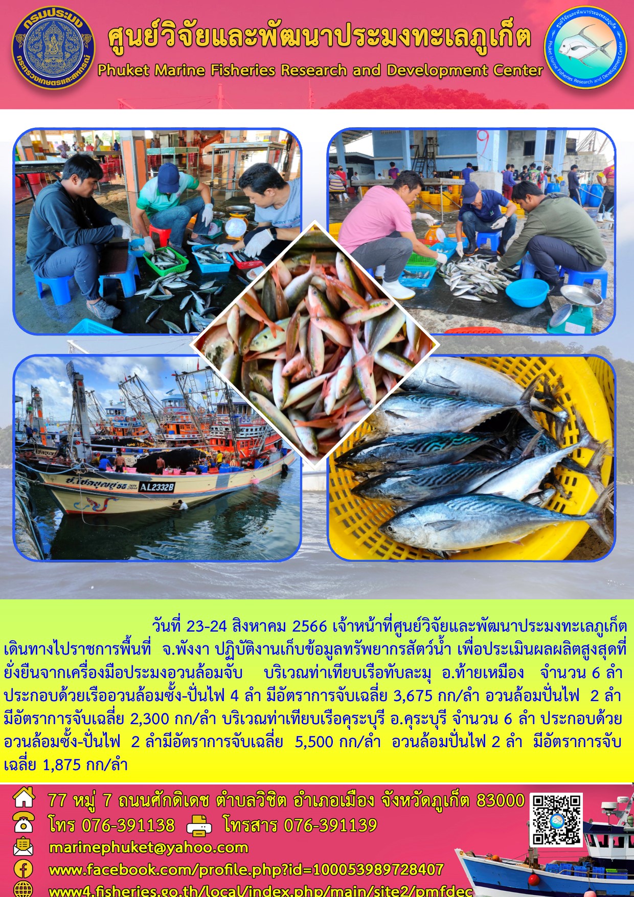 วันที่ 23-24 สิงหาคม 2566 เจ้าหน้าที่ศูนย์วิจัยและพัฒนาประมงทะเลภูเก็ตเดินทางไปราชการพื้นที่ จ.พังงา ปฏิบัติงานเก็บข้อมูลทรัพยากรสัตว์น้ำ เพื่อประเมินผลผลิตสูงสุดที่ยั่งยืนจากเครื่องมือประมงอวนล้อมจับ บริเวณท่าเทียบเรือทับละมุ อ.ท้ายเมือง จำนวน 6 ลำ ประกอบด้วยเรืออวนล้อมซั้ง-ปั่นไฟ 4 ลำ มีอัตราการจับเฉลี่ย 3,675 กก/ลำ อวนล้อมปั่นไฟ 2 ลำ มีอัตราการจับเฉลี่ย 2,300 กก/ลำ บริเวณท่าเทียบเรือคุระบุรี อ.คุระบุรี จำนวน 6 ลำ ประกอบด้วย อวนล้อมซั้ง-ปั่นไฟ 2 ลำมีอัตราการจับเฉลี่ย 5,500 กก/ลำ อวนล้อมปั่นไฟ 2 ลำ มีอัตราการจับเฉลี่ย 1,875 กก/ลำ..คลิก