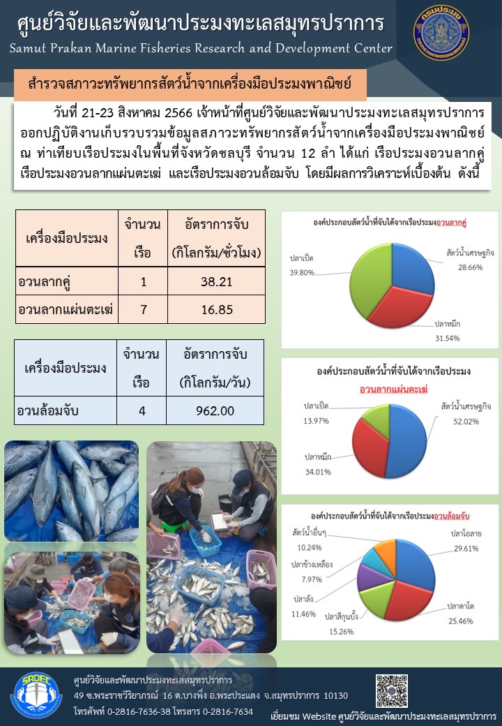 วันที่ 21-23 สิงหาคม 2566 เจ้าหน้าที่ศูนย์วิจัยและพัฒนาประมงทะเลสมุทรปราการออกปฏิบัติงานเก็บรวบรวมข้อมูลสภาวะทรัพยากรสัตว์น้ำจากเครื่องมือประมงพาณิชย์ ณ ท่าเทียบเรือประมงในพื้นที่จังหวัดชลบุรี จำนวน 12 ลำ ได้แก่ เรือประมงอวนลากคู่ เรือประมงอวนลากแผ่นตะเฆ่ และเรือประมงอวนล้อมจับ โดยมีผลการวิเคราะห์เบื้อต้น ดังนี้..คลิก