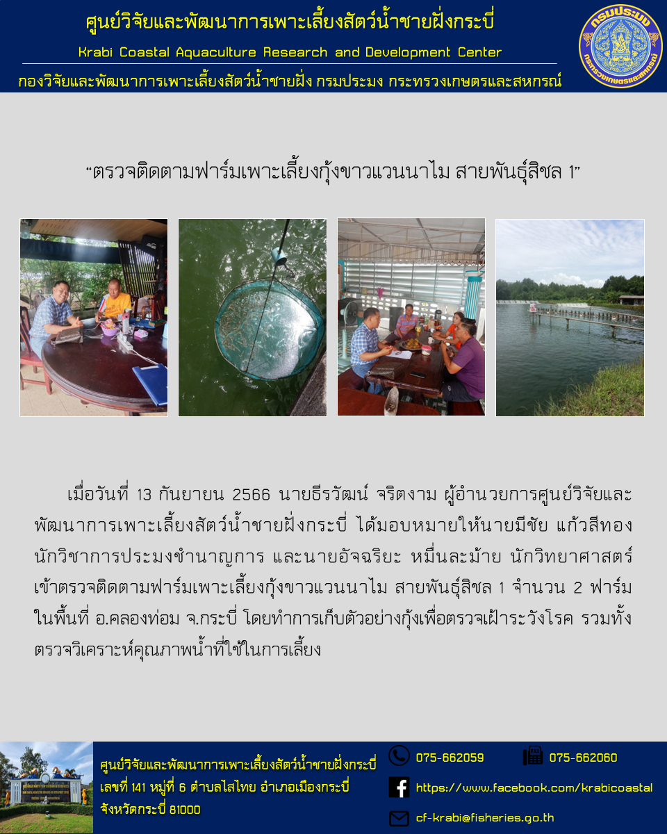 ตรวจติดตามฟาร์มเพาะเลี้ยงกุ้งขาวแวนนาไม สายพันธุ์สิชล 1..คลิก