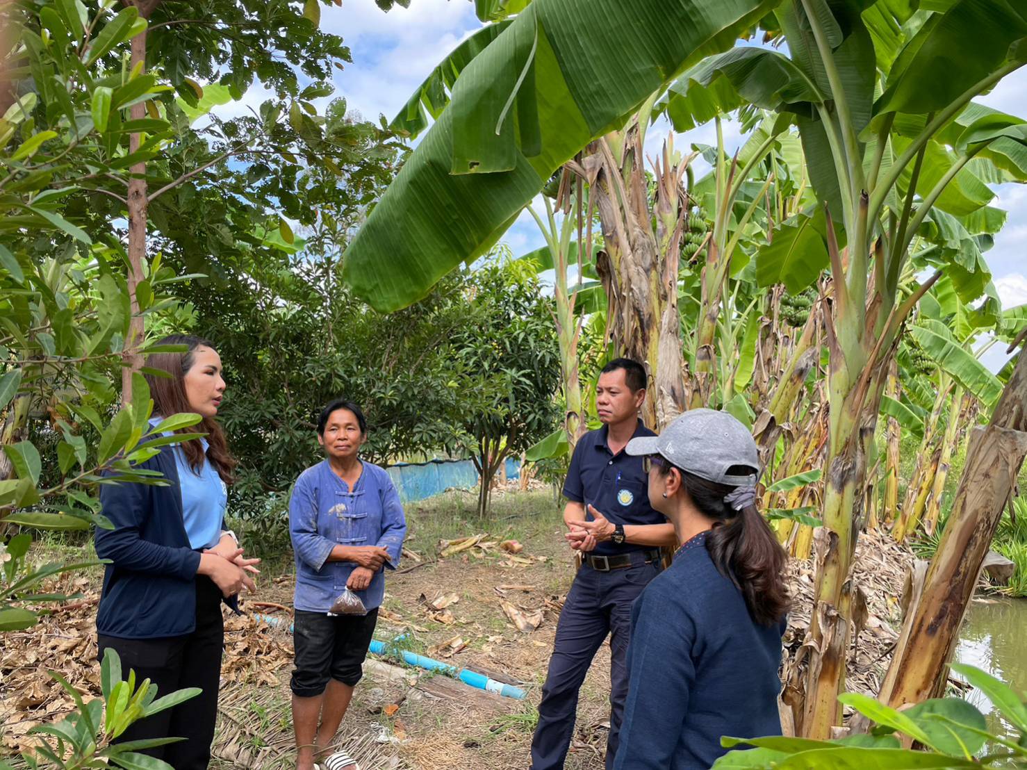 ร่วมติดตามการดำเนินงาน โครงการส่งเสริมอาชีพประมง และโครงการธนาคารผลผลิตสัตว์แบบมีส่วนร่วมแหล่งน้ำบ่อหลวงบึงอ้อ จังหวัดอ่างทอง..คลิก