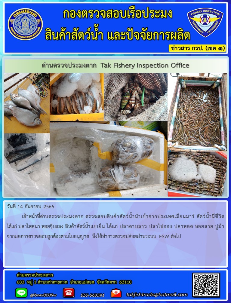 วันที่ 14 กันยายน 2566           เจ้าหน้าที่ด่านตรวจประมงตาก ตรวจสอบสินค้าสัตว์น้ำนำเข้าจากประเทศเมียนมาร์ สัตว์น้ำมีชีวิตได้แก่ ปลาไหลนา หอยจุ๊บแจง สินค้าสัตว์น้ำแช่เย็น ได้แก่ ปลาดาบลาว ปลาไข่ออง ปลาลิ้นหมา หอยลาย ปูม้า จากผลการตรวจสอบถูกต้องตามใบอนุญาต จึงได้ทำการตรวจปล่อยผ่านระบบ FSW ต่อไป..คลิก