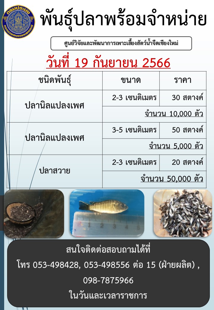 พันธุ์ปลาพร้อมจำหน่าย วันที่ 19 กันยายน 2566