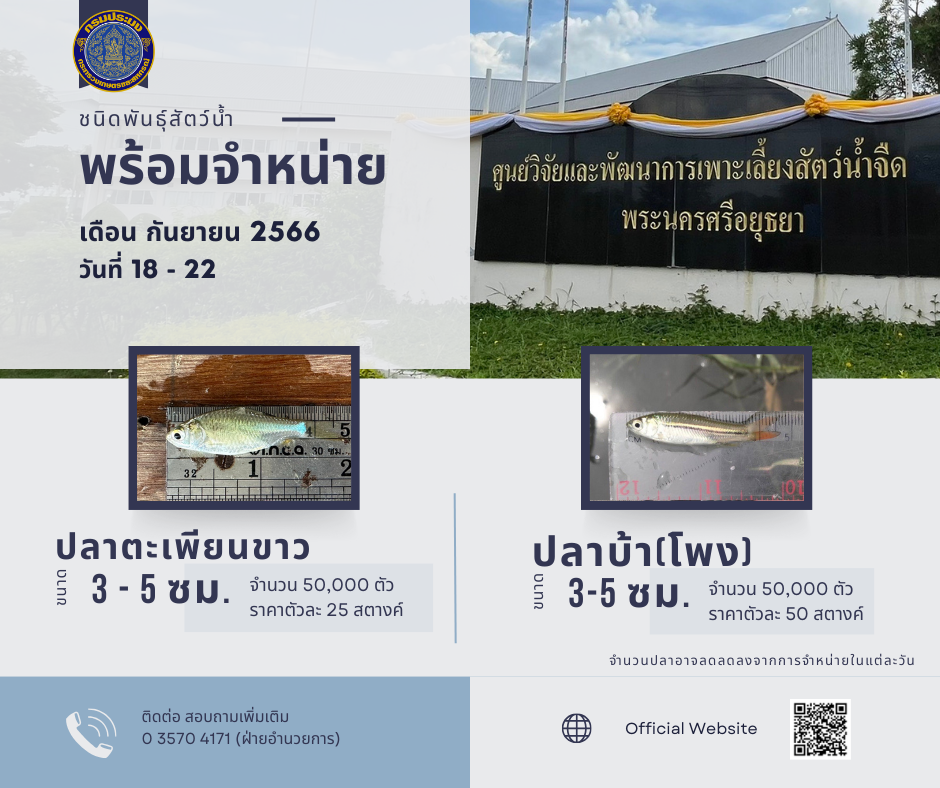 ชนิดพันธุ์สัตว์น้ำพร้อมจำหน่าย (18 - 22 กันยายน 2566) ศพจ.พระนครศรีอยุธยา..คลิก