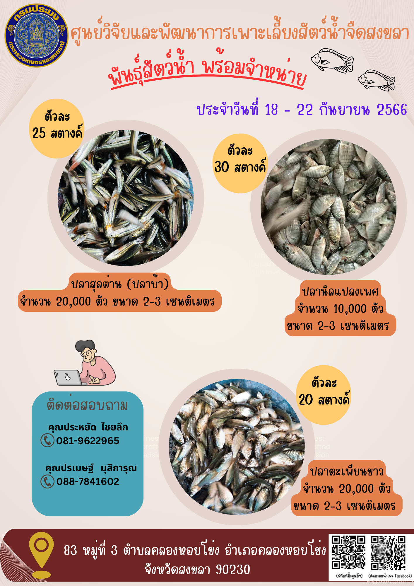 พัันธุ์สัตว์น้ำพร้อมจำหน่าย