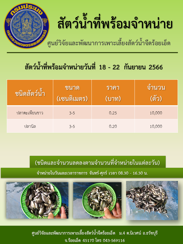 สัตว์น้ำที่พร้อมจำหน่ายวันที่ 18 - 22  กันยายน 2566..คลิก