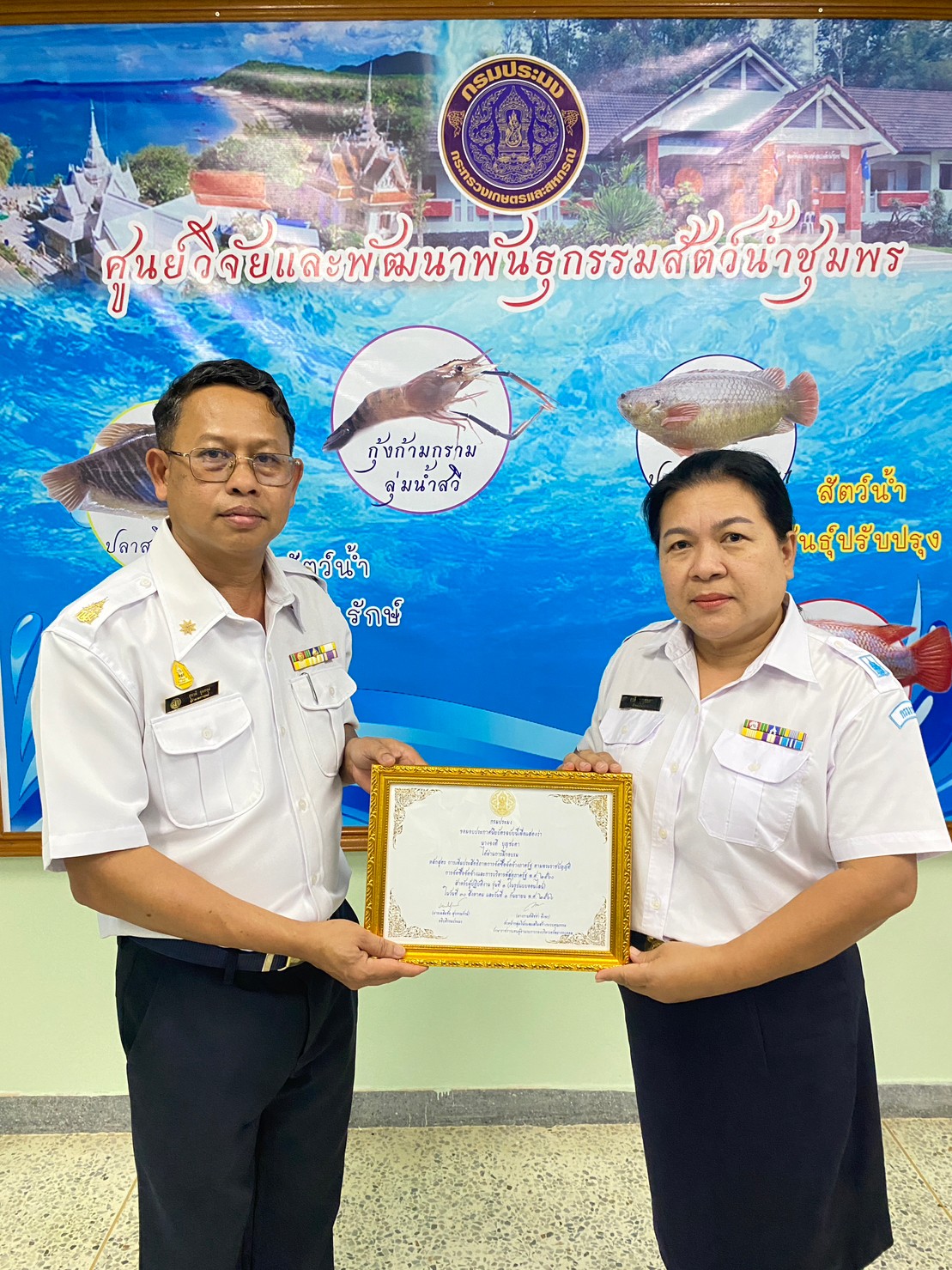 มอบเกียรติบัตร ให้นางจงดี บุญชะตา ตำแหน่งเจ้าพนักงานธุรการ (พนักงานราชการ)