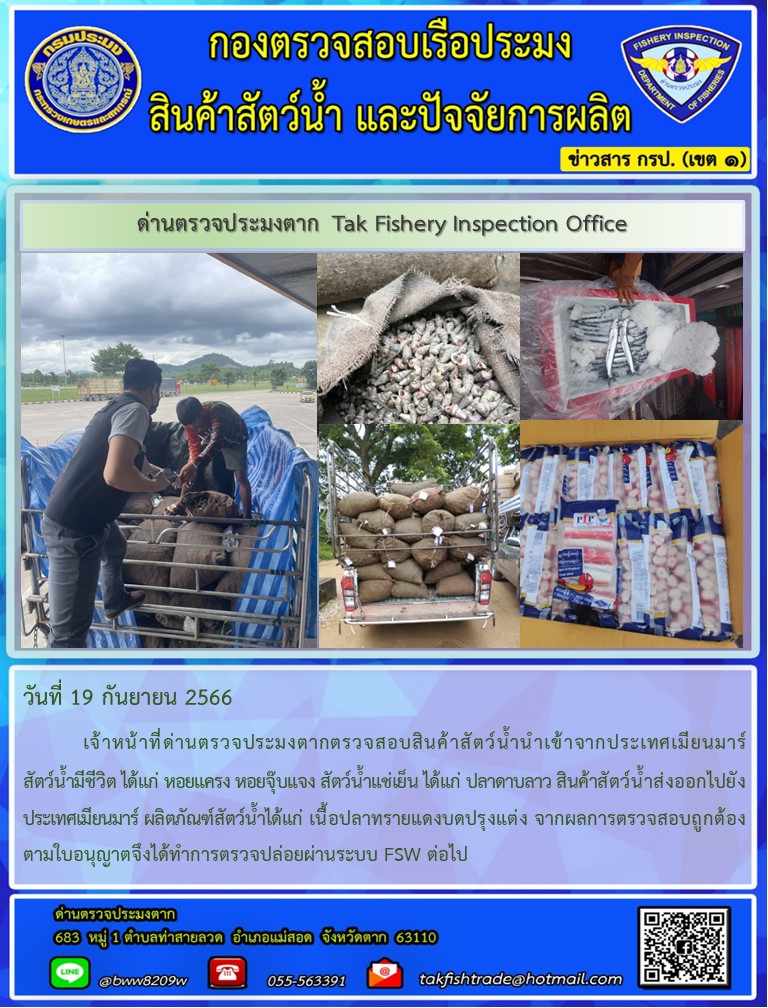 วันที่ 19 กันยายน 2566           เจ้าหน้าที่ด่านตรวจประมงตากตรวจสอบสินค้าสัตว์น้ำนำเข้าจากประเทศเมียนมาร์ สัตว์น้ำมีชีวิต ได้แก่ หอยแครง หอยจุ๊บแจง สัตว์น้ำแช่เย็น ได้แก่ ปลาดาบลาว สินค้าสัตว์น้ำส่งออกไปยังประเทศเมียนมาร์ ผลิตภัณฑ์สัตว์น้ำได้แก่ เนื้อปลาทรายแดงบดปรุงแต่ง จากผลการตรวจสอบถูกต้องตามใบอนุญาตจึงได้ทำการตรวจปล่อยผ่านระบบ FSW ต่อไป..คลิก