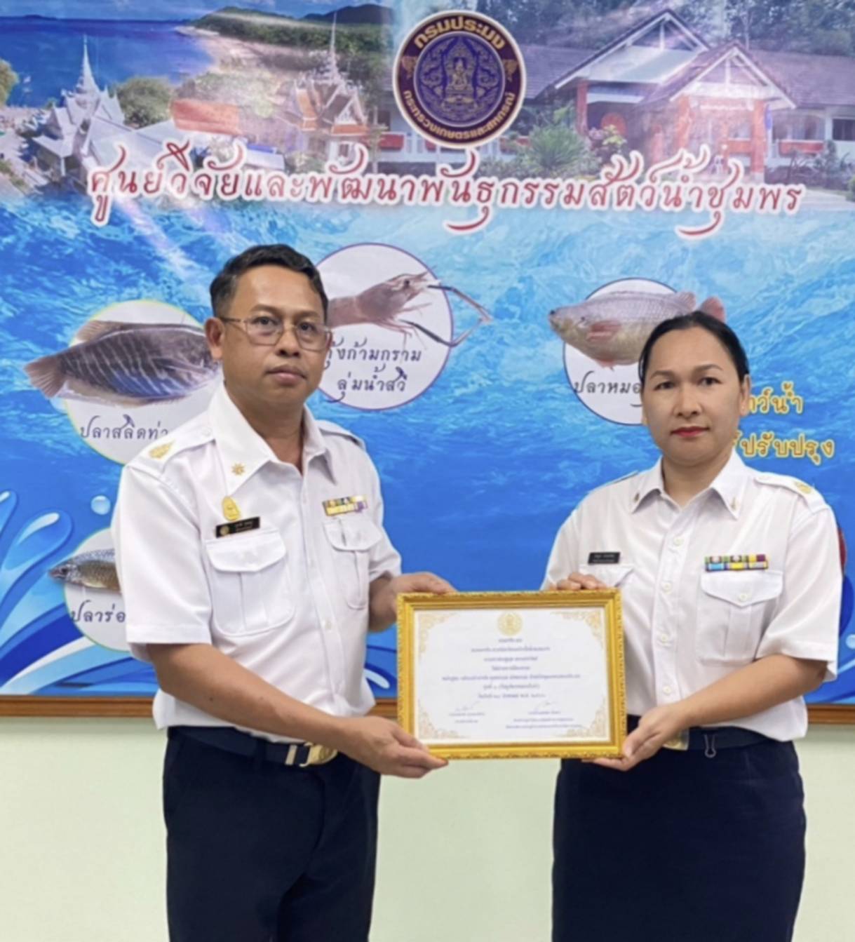 มอบเกียรติบัตร ให้นางสาวชมพูนุช มรรคทรัพย์ ตำแหน่ง เจ้าพนักงานประมงชำนาญงาน