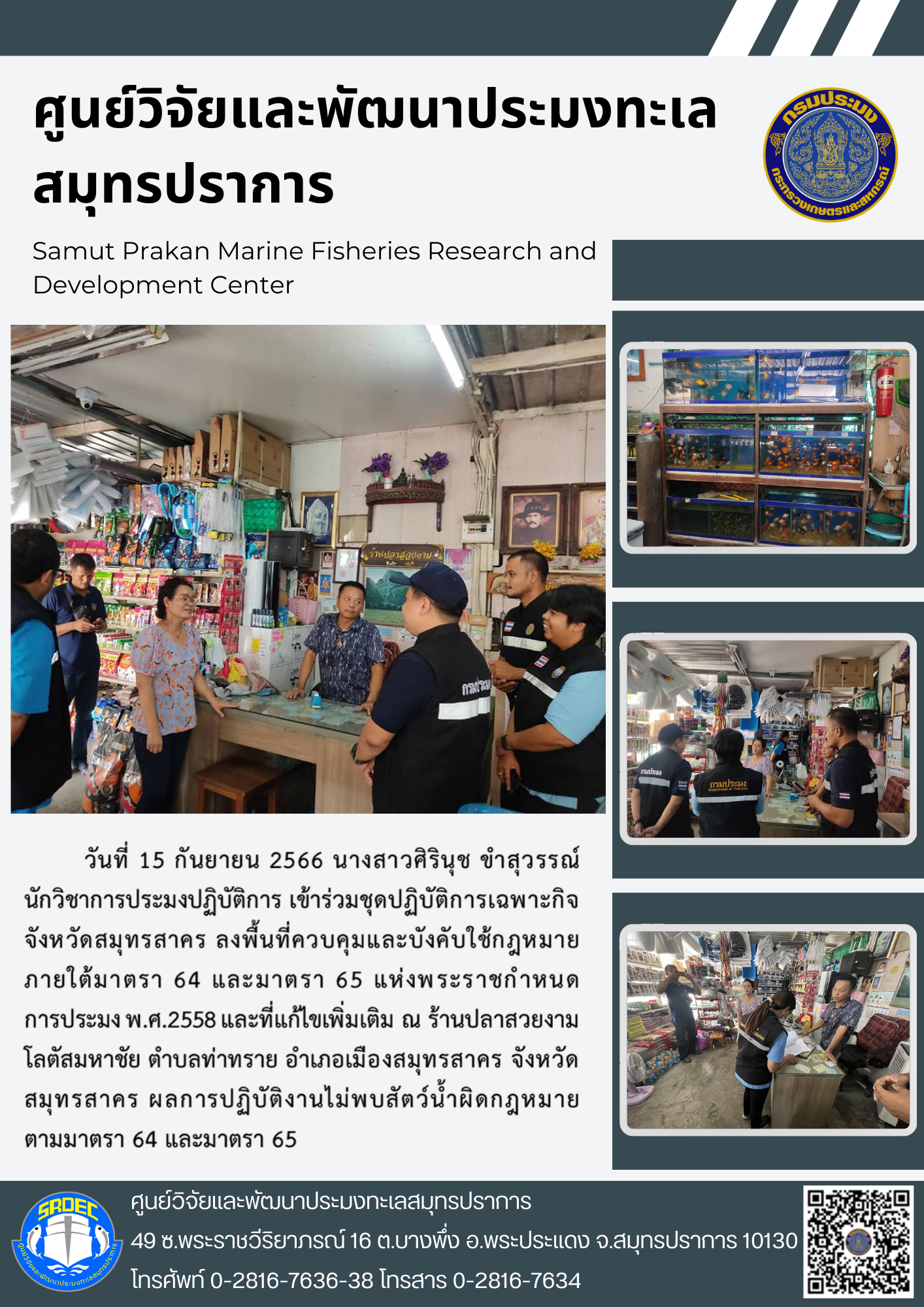 วันที่ 15 กันยายน 2566 นางสาวศิรินุช ขำสุวรรณ์ นักวิชาการประมงปฏิบัติการ เข้าร่วมชุดปฏิบัติการ เข้าร่วมชุดปฏิบัติการเฉพาะกิจจังหวัดสมุทรสาคร ลงพื้นที่ควบคุมและบังคับใช้กฎหมายภายใต้มาตรา 64 และมาตรา 65 แห่งพระราชกำหนดการประมง พ.ศ. 2558 และที่แก้ไขเพิ่มเติม ณ ร้านปลาสวยงาม โลตัสมหาชัย ตำบลท่าทราย อำเภอสมุทรสาคร จังหวัดสมุทรสาคร ผลการปฏิบัติงานไม่พบสัตว์น้ำผิดกฎหมาย ตามมาตรา 64 และมาตรา 65..คลิก