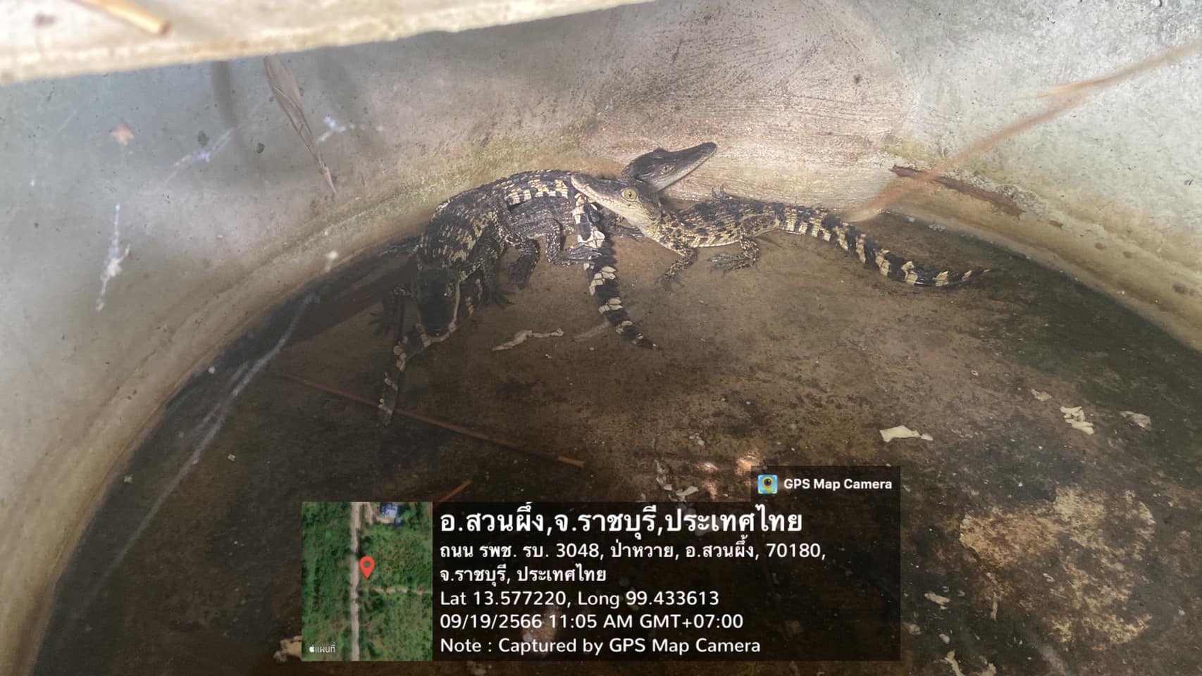 ลงพื้นที่ดำเนินงานตรวจฟาร์มจระเข้ ในพื้นที่อำเภอสวนผึ้ง..คลิก
