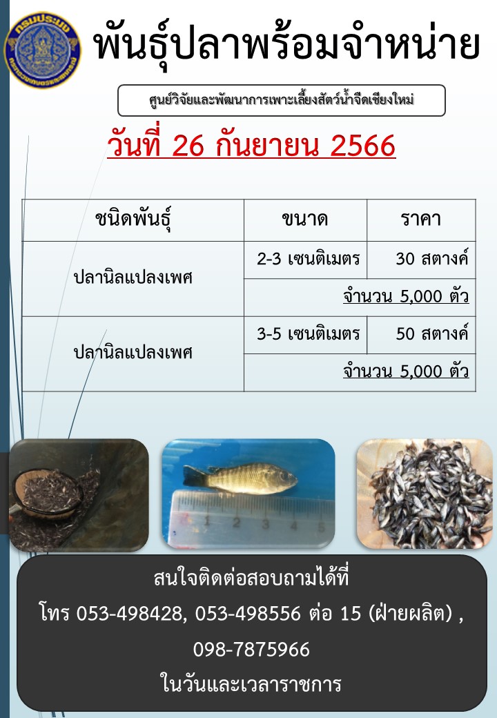 พันธุ์ปลาพร้อมจำหน่าย วันที่ 26 กันยายน 2566