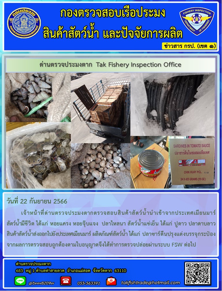 วันที่ 22 กันยายน 2566           เจ้าหน้าที่ด่านตรวจประมงตากตรวจสอบสินค้าสัตว์น้ำนำเข้าจากประเทศเมียนมาร์ สัตว์น้ำมีชีวิต ได้แก่ หอยแครง หอยจุ๊บแจง  ปลาไหลนา สัตว์น้ำแช่เย็น ได้แก่ ปูดาว ปลาดาบลาว สินค้าสัตว์น้ำส่งออกไปยังประเทศเมียนมาร์ ผลิตภัณฑ์สัตว์น้ำ ได้แก่ ปลาซาร์ดีนปรุงแต่งบรรจุกระป๋อง จากผลการตรวจสอบถูกต้องตามใบอนุญาตจึงได้ทำการตรวจปล่อยผ่านระบบ FSW ต่อไป..คลิก