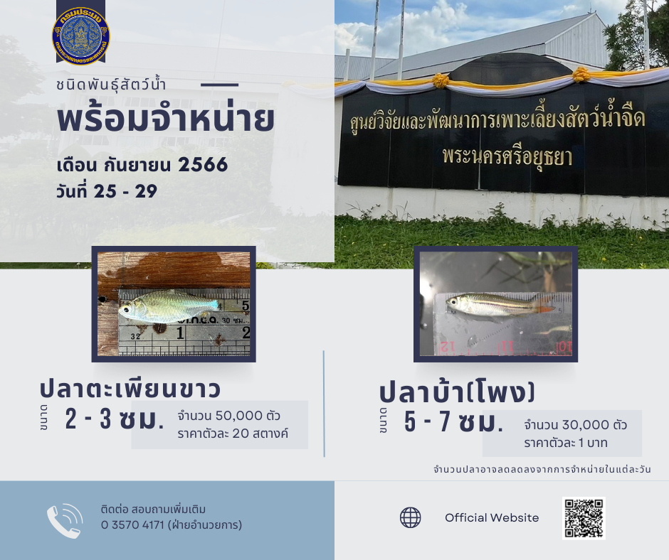 ชนิดพันธ์ุสัตว์น้ำพร้อมจำหน่าย (25 - 29 กันยายน 2566) ศพจ.พระนครศรีอยุธยา