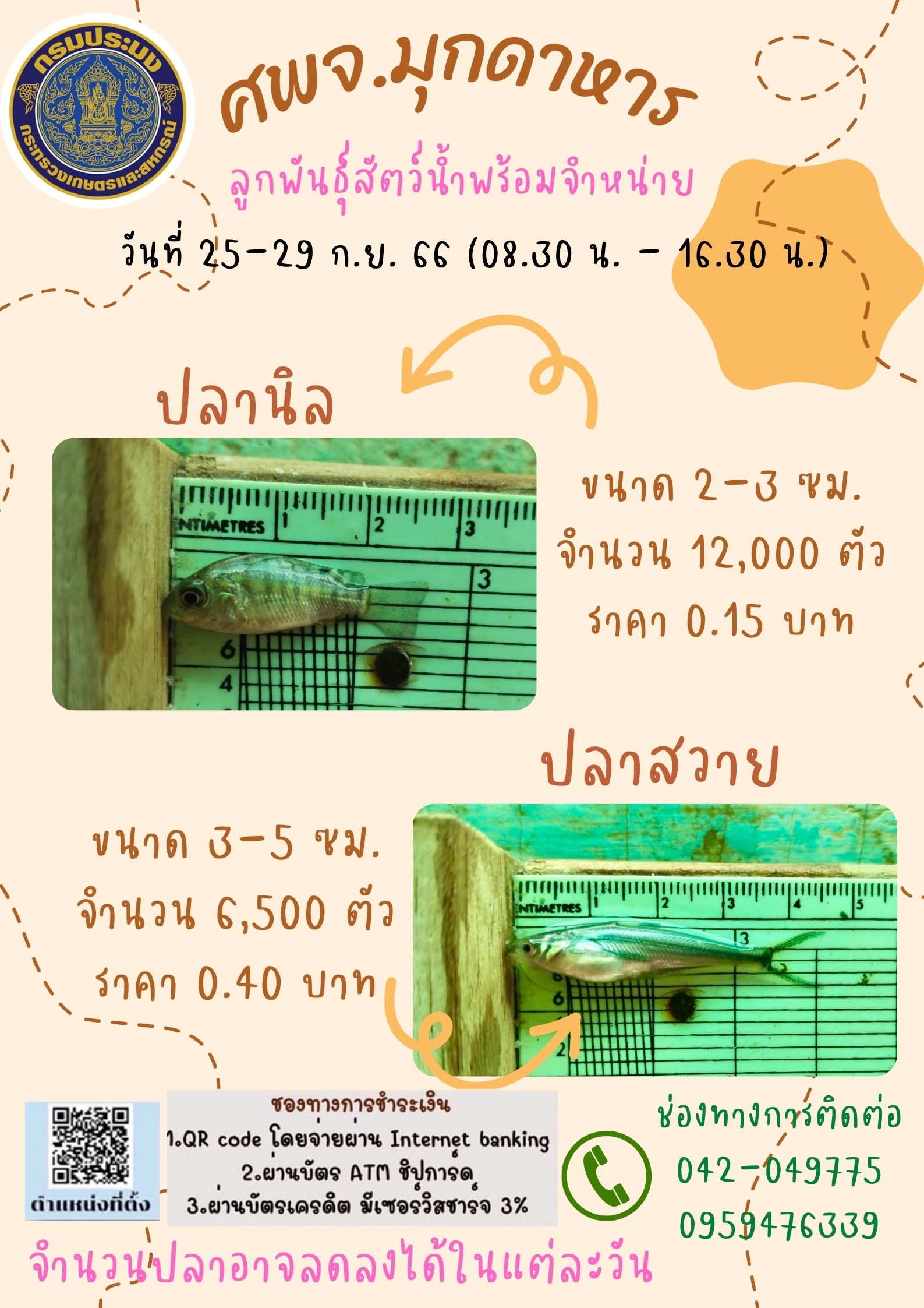 ลูกพันธุ์สัตว์น้ำพร้อมจำหน่าย ระหว่างวันที่ 25 ก.ย.-29 ก.ย. 66..คลิก