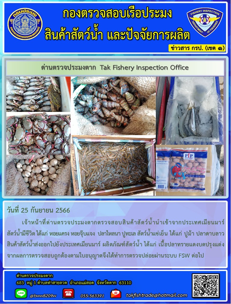 วันที่ 25 กันยายน 2566           เจ้าหน้าที่ด่านตรวจประมงตากตรวจสอบสินค้าสัตว์น้ำนำเข้าจากประเทศเมียนมาร์ สัตว์น้ำมีชีวิต ได้แก่ หอยแครง หอยจุ๊บแจง  ปลาไหลนา ปูทะเล สัตว์น้ำแช่เย็น ได้แก่ ปูม้า ปลาดาบลาว สินค้าสัตว์น้ำส่งออกไปยังประเทศเมียนมาร์ ผลิตภัณฑ์สัตว์น้ำ ได้แก่ เนื้อปลาทรายแดงบดปรุงแต่งจากผลการตรวจสอบถูกต้องตามใบอนุญาตจึงได้ทำการตรวจปล่อยผ่านระบบ FSW ต่อไป..คลิก