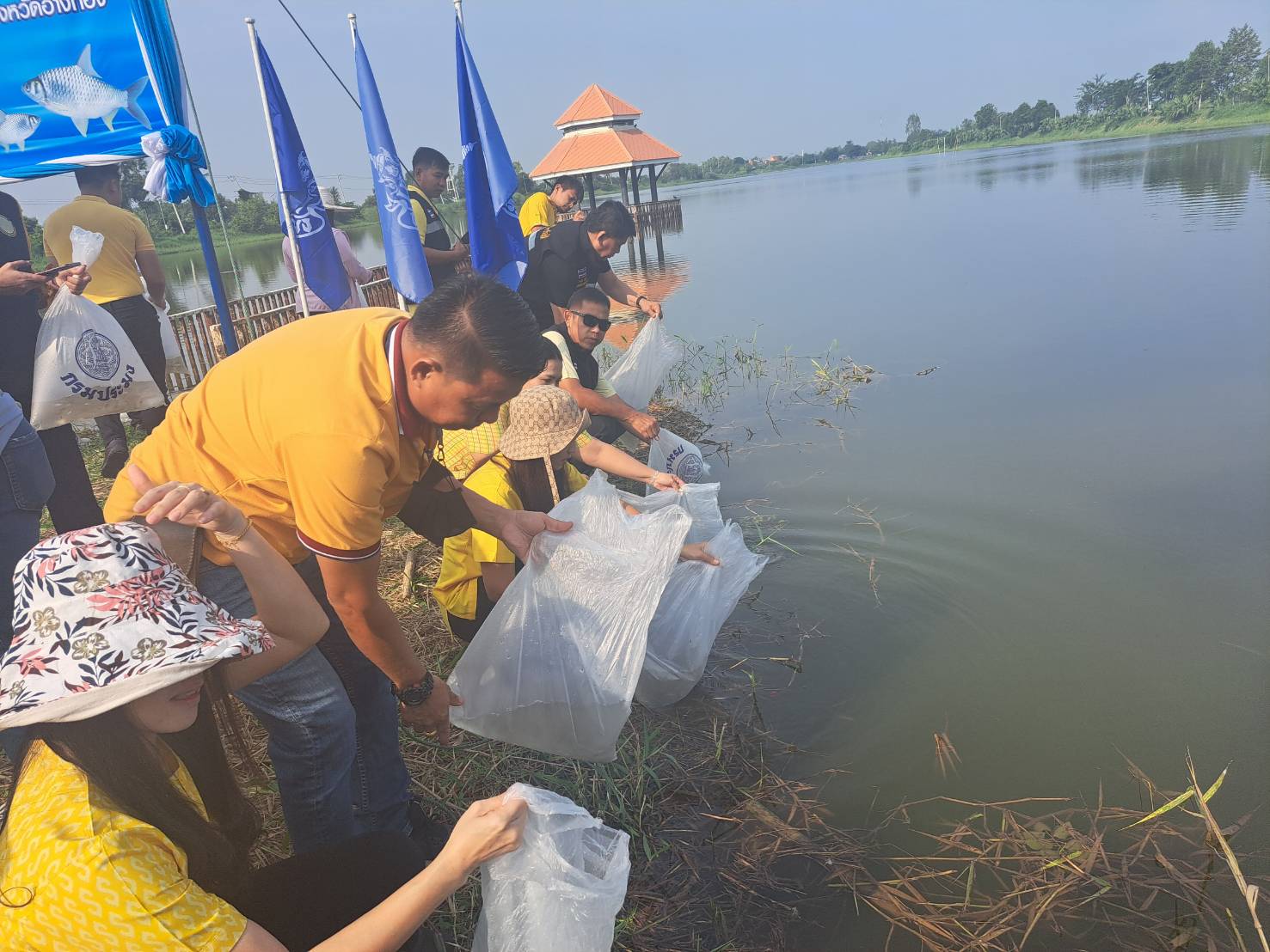 จัดกิจกรรมปล่อยพันธุ์ปลาตะเพียนขาวในแหล่งน้ำธรรมชาติ อำเภอวิเศษชัยชาญ..คลิก