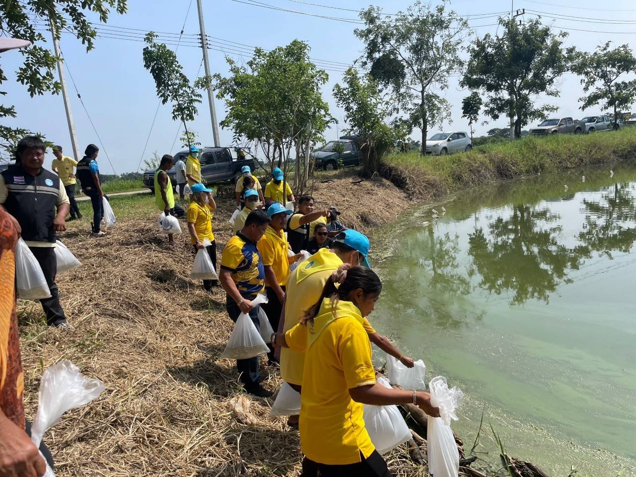 จัดกิจกรรมปล่อยพันธุ์ปลาตะเพียนขาวในแหล่งน้ำธรรมชาติ อำเภอวิเศษชัยชาญ