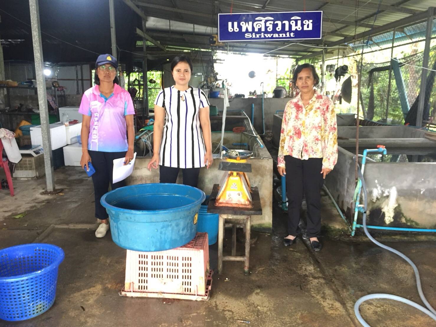 หัวหน้ากลุ่มบริหารจัดการด้านการประมง พร้อมด้วย  เจ้าพนักงานประมงปฎิบัติงาน ประมงอำเภอป่าบอน  เข้าตรวจติดตามฟารม์เลี้ยงจระเข้ในพื้นที่อำเภอป่าบอน และตรวจติดตามกิจการโรงงานตามข้อกฏหมายกรมประมง พื้นที่อำเภอปากพะยูน..คลิก