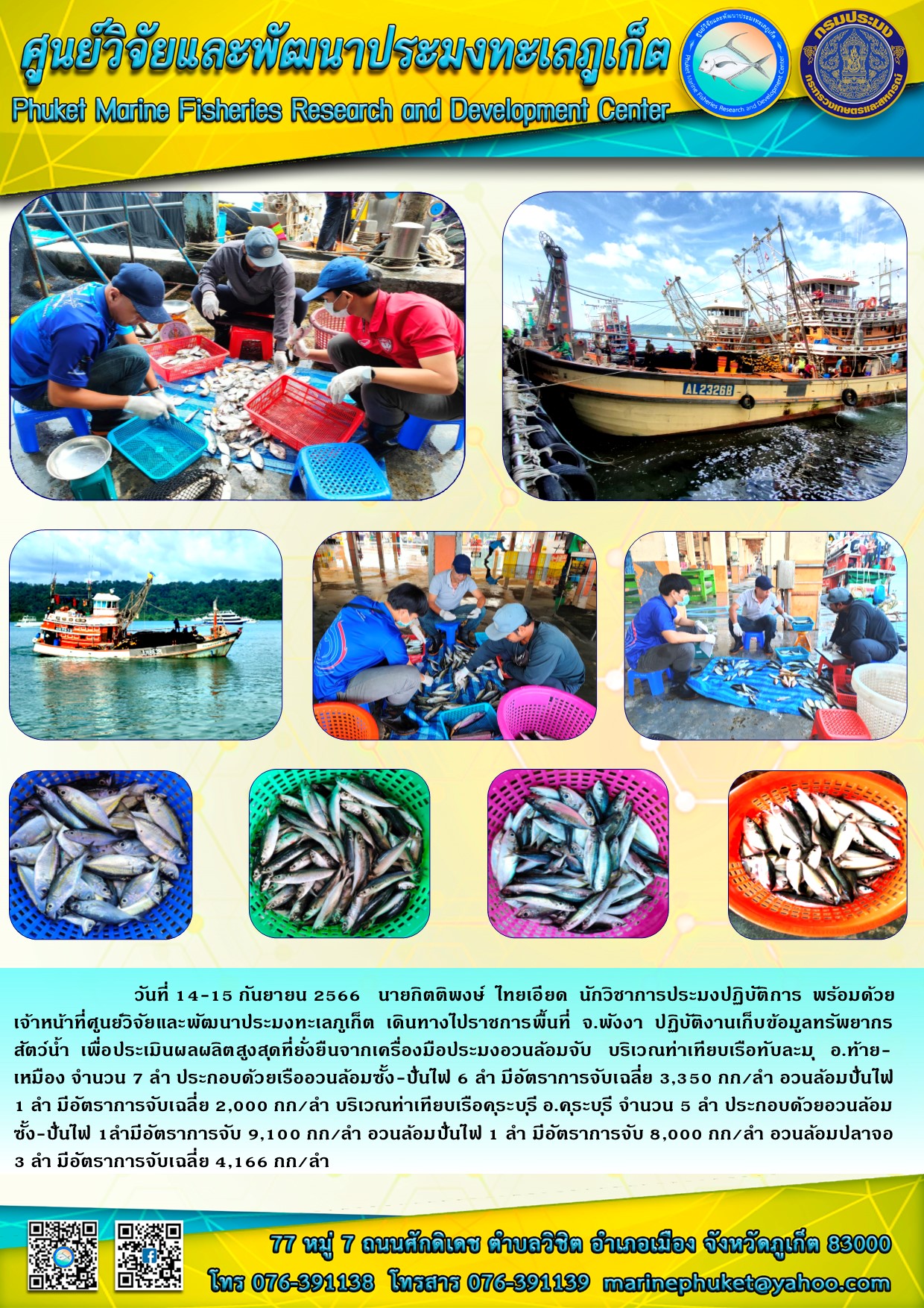 วันที่ 14-15 กันยายน 2566 นายกิตติพงษ์ ไทยเอียด นักวิชาการประมงปฏิบัติการ พร้อมด้วยเจ้าหน้าที่ศูนย์วิจัยและพัฒนาประมงทะเลภูเก็ต เดินทางไปราชการพื้นที่ จ.พังงา ปฏิบัติงานเก็บข้อมูลทรัพยากรสัตว์น้ำ เพื่อประเมินผลผลิตสูงกุดที่ยั่งยืนจากเครื่องมือประมงอวนล้อมจับ บริเวณท่าเทียบเรือทับละมุ อ.ท้ายเหมือง จำนวน 7 ลำ ประกอบด้วยเรืออวนล้อมซั้ง-ปั่นไฟ 6 ลำ มีอัตราการจับเฉลี่ย 3,350 กก/ลำ อวนล้อมปั่นไฟ 1 ลำ มีอัตราการจับเฉลี่ย 2,000 กก/ลำ บริเวณท่าเทียบเรือคุระบุรี อ.คุระบุรี จำนวน 5 ลำ ประกอบด้วยอวนล้อมซั้ง-ปั่นไฟ 1 ลำมีอัตราการจับ 9,100 กก/ลำ อวนล้อมปั่นไฟ 1 ลำ มีอัตราการจับ 8,000 กก/ลำ อวนล้อมปลาจอ 3 ลำ มีอัตราการจับเฉลี่ย 4,166 กก/ลำ..คลิก