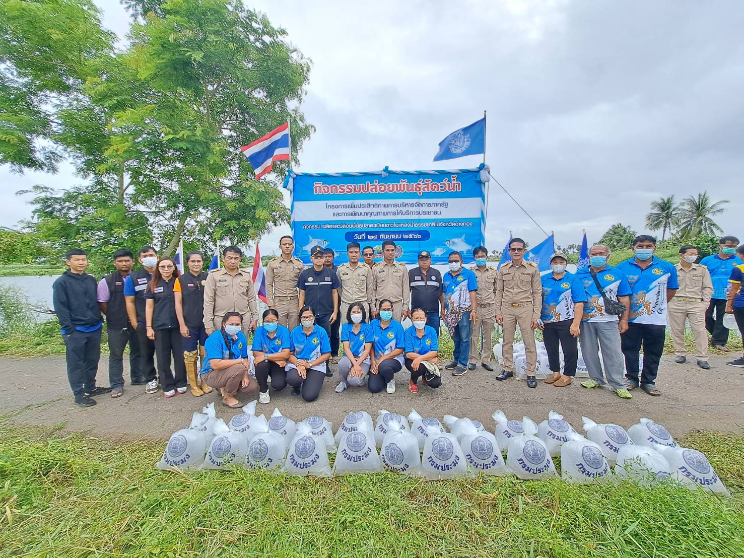 กิจกรรมผลิตและปล่อยพันธุ์ปลาตะเพียนขาวในแหล่งน้ำธรรมชาติในจังหวัดอ่างทอง อำเภอโพธิ์ทอง..คลิก