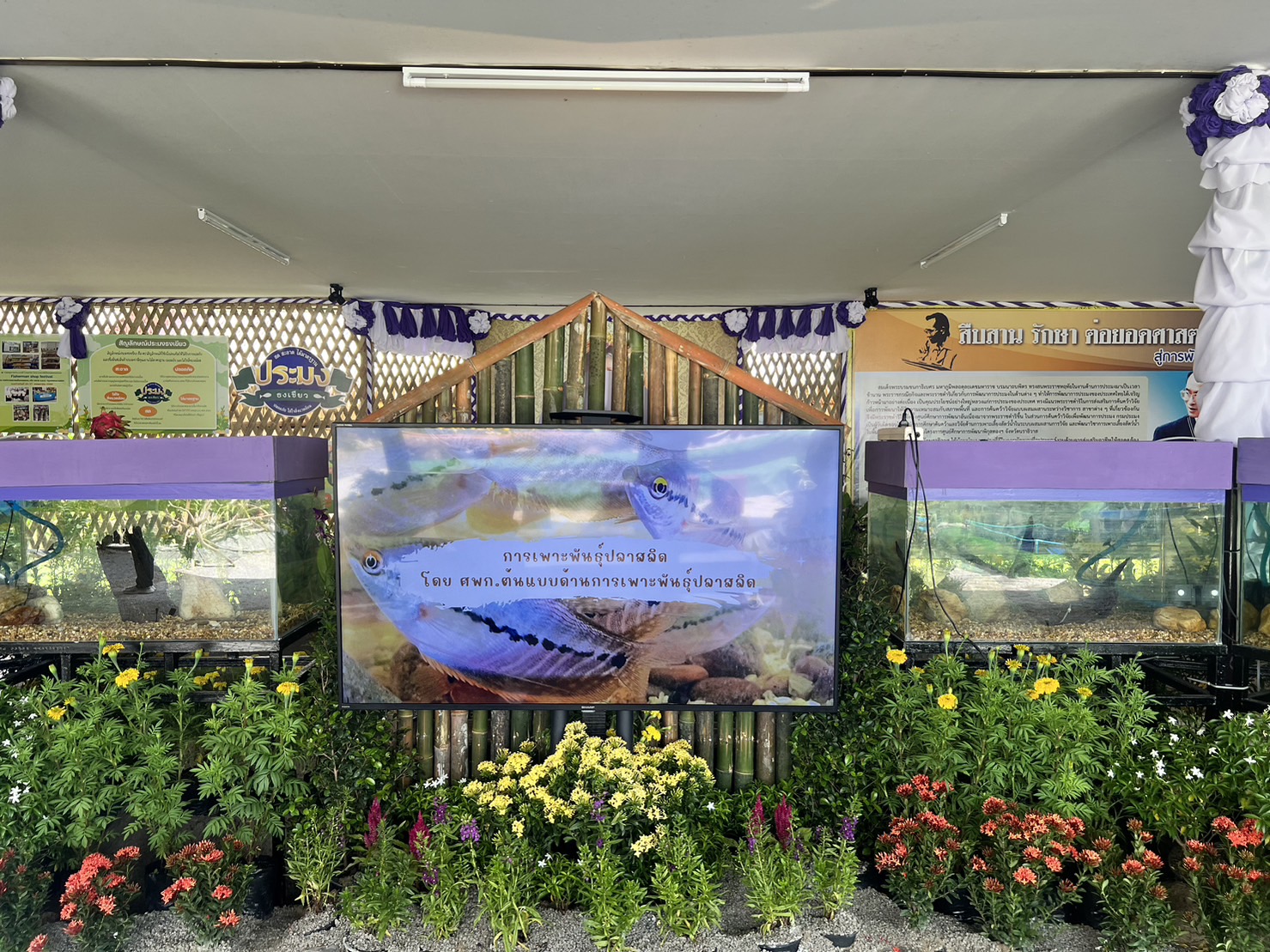 สำนักงานประมงจังหวัดนราธิวาสจัดนิทรรศการงานวันของดีเมืองนรา ครั้งที่ 46 ประจำปี 2566..คลิก