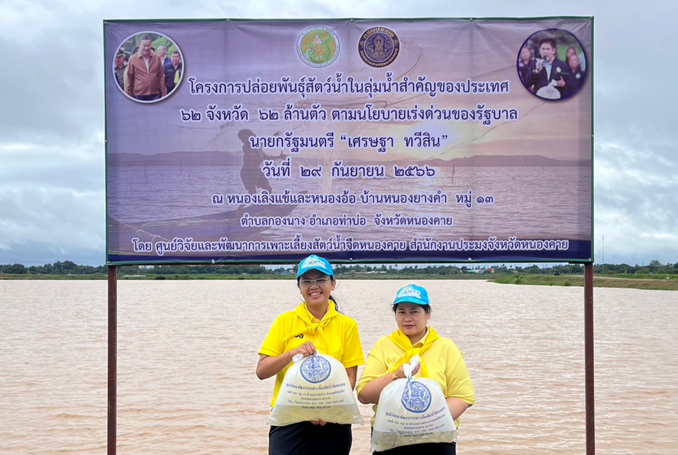 วันศุกร์ที่ 29 กันยายน 2566 ศูนย์วิจัยและพัฒนาการเพาะเลี้ยงสัตว์น้ำจืดหนองคาย ร่วมกับสำนักงานประมงหนองคาย ปล่อยพันธุ์สัตว์น้ำ โครงการปล่อยพันธุ์สัตว์น้ำ 62 ล้านตัว 62 จังหวัด ในลุ่มน้ำจืดสำคัญของประเทศ ตามนโยบายเร่งด่วนของรัฐบาล ร้อยเอกธรรมนัส พรหมเผ่า รัฐมนตรีว่าการกระทรวงเกษตรและสหกรณ์..คลิก