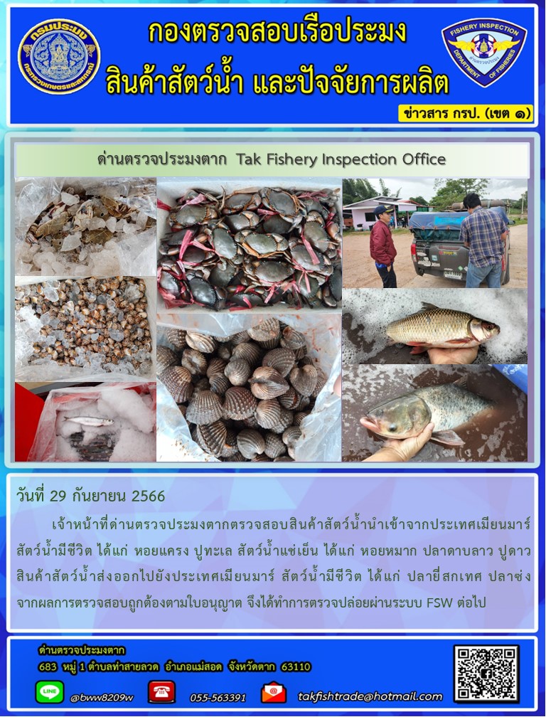 วันที่ 29 กันยายน 2566           เจ้าหน้าที่ด่านตรวจประมงตากตรวจสอบสินค้าสัตว์น้ำนำเข้าจากประเทศเมียนมาร์ สัตว์น้ำมีชีวิต ได้แก่ หอยแครง ปูทะเล สัตว์น้ำแช่เย็น ได้แก่ หอยหมาก ปลาดาบลาว ปูดาว สินค้าสัตว์น้ำส่งออกไปยังประเทศเมียนมาร์ สัตว์น้ำมีชีวิต ได้แก่ ปลายี่สกเทศ ปลาซ่ง จากผลการตรวจสอบถูกต้องตามใบอนุญาต จึงได้ทำการตรวจปล่อยผ่านระบบ FSW ต่อไป..คลิก