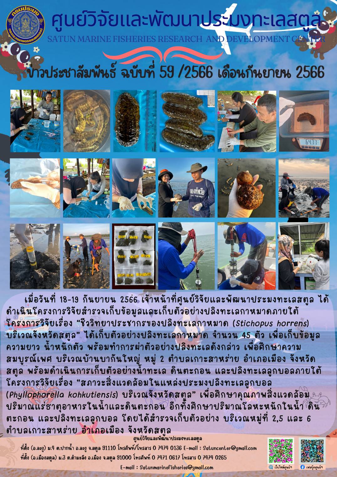 เมื่อวันที่ 18-19 กันยายน 2566 เจ้าหน้าที่ศูนย์วิจัยและพัฒนาประมงทะเลสตูล ได้เดินเนินโครงการวิจัยสำรวจเก็บข้อมูลและเก็บตัวอย่างปลิงทะเลกาหมาดภายใต้ โครงการวิจัยเรื่อง “ชีววิทยาประชากรของปลิงทะเลกาหมาด (Stichopus horrens) บริเวณจังหวัดสตูล” ได้เก็บตัวอย่างปลิงทะเลกาหมาด จำนวน 45 ตัว เพื่อเก็บข้อมูล ความยาว น้ำหนักตัว พร้อมทำการผ่าตัวอย่างผลิงทะเลดังกล่าว เพื่อศึกษาความสมบูรณ์เพศ บริเวณ บริเวณบ้านบากันใหญ่ หมู่ 2 ตำบลเกาะสาหร่าย อำเภอเมือง จังหวัดสตูล พร้อมดำเนินการเก็บตัวอย่างน้ำทะเล ดินตะกอน และปลิงทะเลลูกบอลภายใต้โครงการวิจัยเรื่อง “สภาวะสิ่งแวดล้อมในแหล่งประมงปลิงทะเลลูกบอล (Phyllophorella kohkutiensis) บริเวณจังหวัดสตูล” เพื่อศึกษาคุณภาพสิงแวดล้อมปริมาณแร่ธาตุอาหารในน้ำและกินตะกอน อีกทั้งศึกษาปริมาณโลหะหนักในน้ำ ดินตะกอน และปลิงทะเลลูกบอล โดยได้สำรวจเก็บตัวอย่าง บริเวณหมู่ที่ 2,5 และ 6 ตำบลเกาะสาหร่าย อำเภอเมือง จังหวัดสตูล..คลิก
