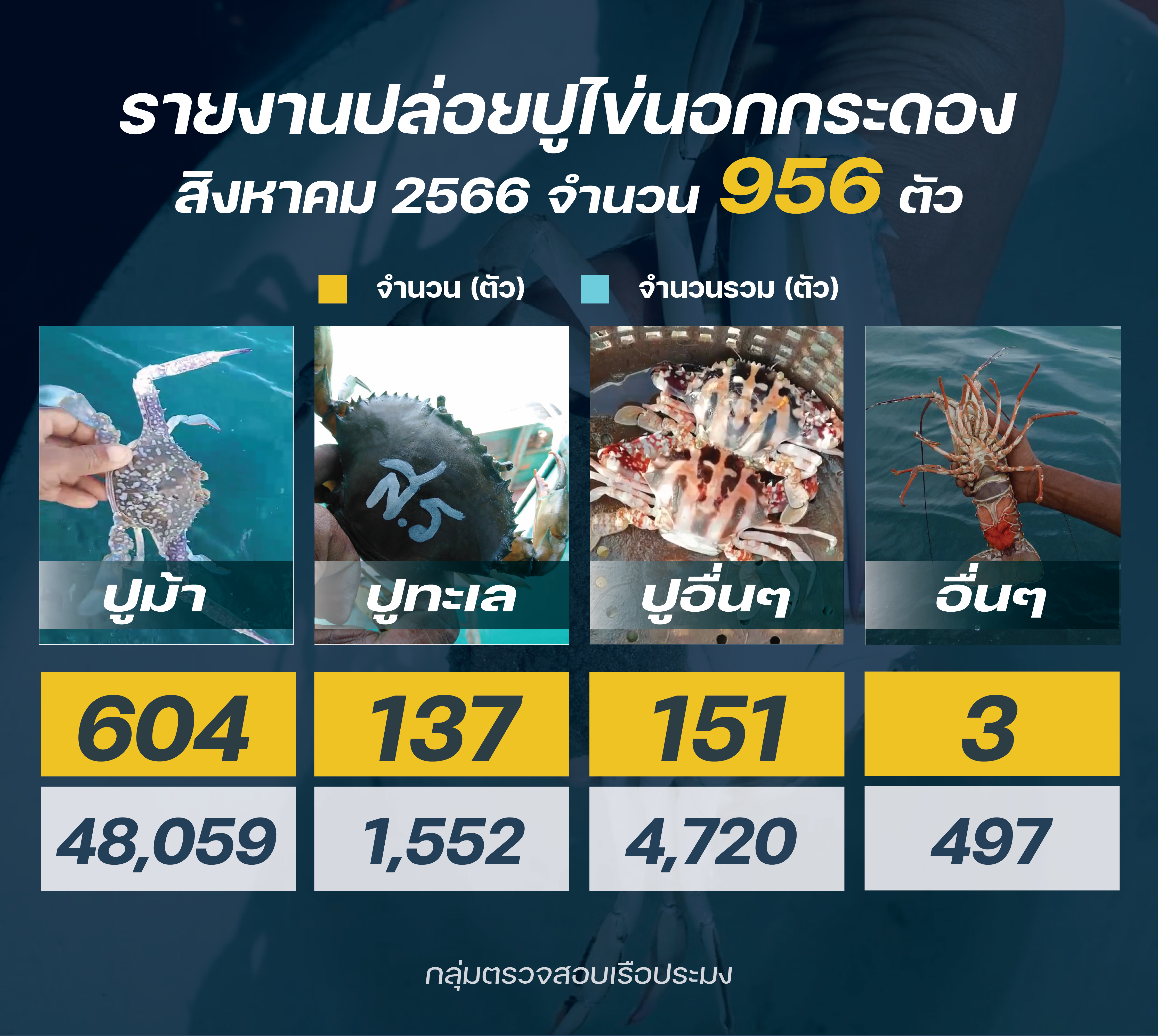 ชาวประมงปล่อยปูไข่ สิงหาคม 2566..คลิก