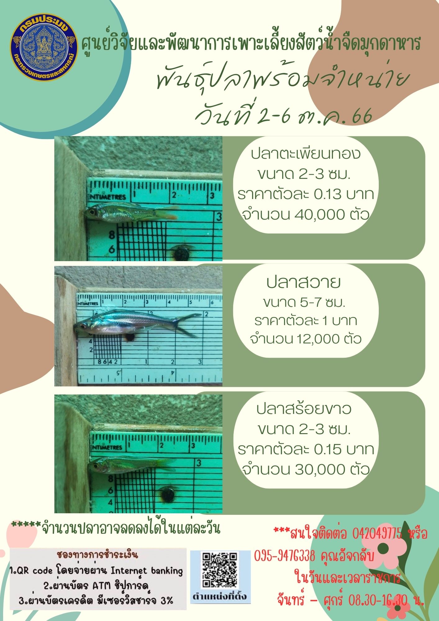 ลูกพันธุ์สัตว์น้ำพร้อมจำหน่าย ระหว่างวันที่ 2 ต.ค.- 6 ต.ค. 66..คลิก