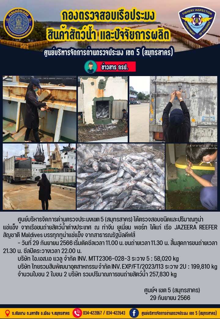 การขนถ่ายทูน่าแช่แข็งจากเรือขนถ่ายสัตว์น้ำ JAZEERA REEFER สัญชาติ Maldives บรรทุกทูน่าแช่แข็งจากประเทศมัลดีฟส์ วันที่ 29 กันยายน  2566..คลิก