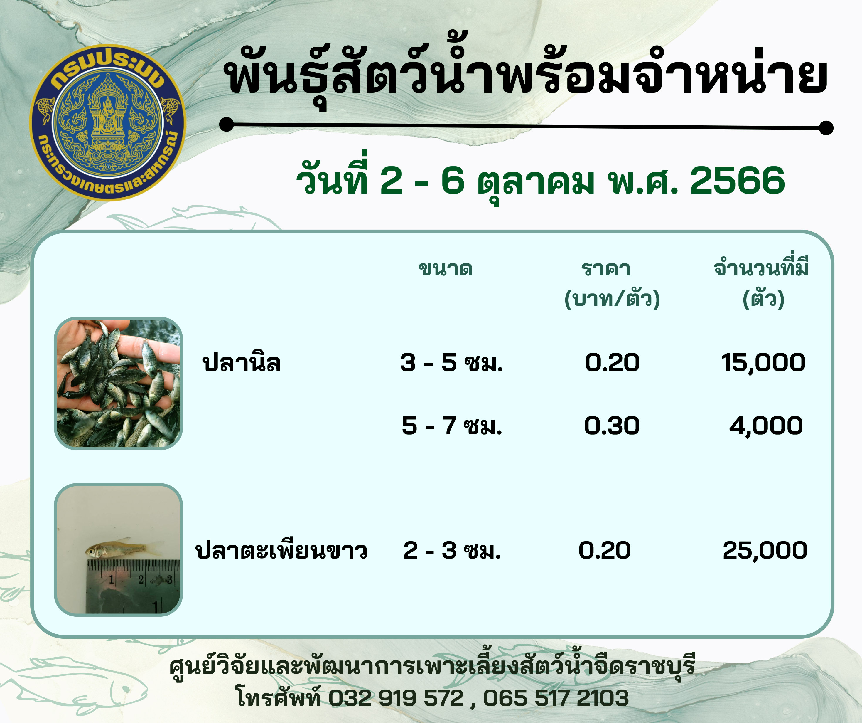 ลูกพันธุ์สัตว์น้ำพร้อมจำหน่าย ประจำวันที่ 2 - 6 ตุลาคม พ.ศ. 2566..คลิก