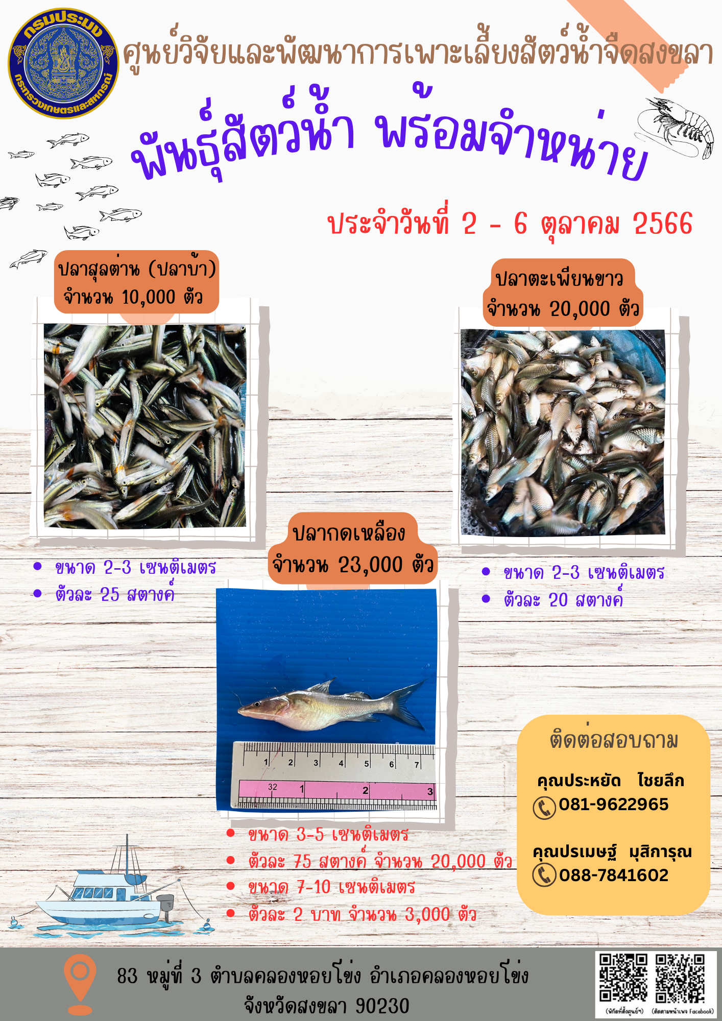 พัันธุ์สัตว์น้ำพร้อมจำหน่าย