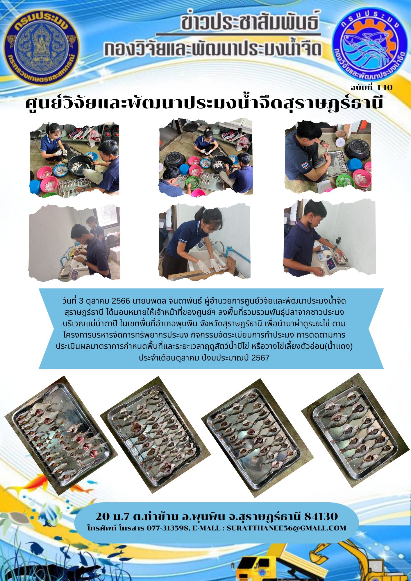 วันที่ 3 ตุลาคม 2566 นายนพดล จินดาพันธ์ ผู้อำนวยการศูนย์วิจัยและพัฒนาประมงน้ำจืดสุราษฎร์ธานี ได้มอบหมายให้เจ้าหน้าที่ของศูนย์ฯ ลงพื้นที่รวบรวมพันธุ์ปลาจากชาวประมงบริเวณแม่น้ำตาปี ในเขตพื้นที่อำเภอพุนพิน จังหวัดสุราษฎร์ธานี